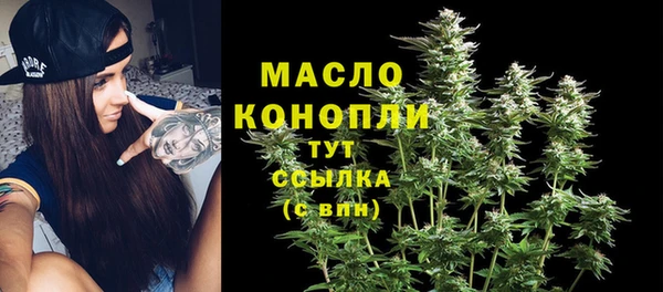 молекула духа Верхний Тагил