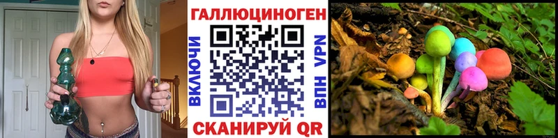 где найти   Кадников  Галлюциногенные грибы мицелий 